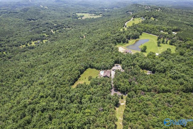 8879 County Road 27, Springville, AL 35146