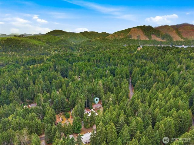 90 N Hamma Hamma Drive E, Hoodsport, WA 98548