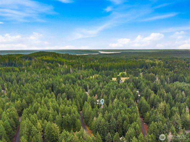 90 N Hamma Hamma Drive E, Hoodsport, WA 98548