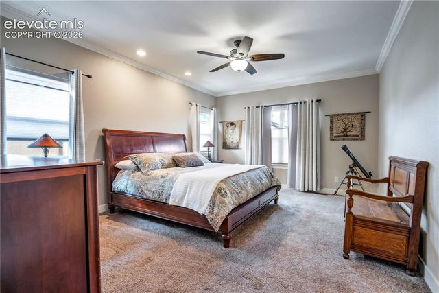843 Redemption Point, Colorado Springs, CO 80905