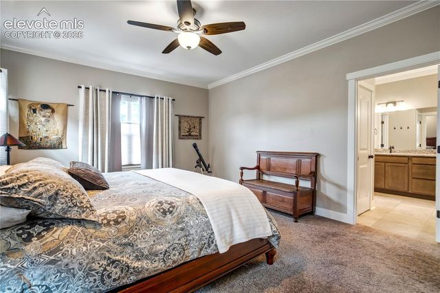 843 Redemption Point, Colorado Springs, CO 80905