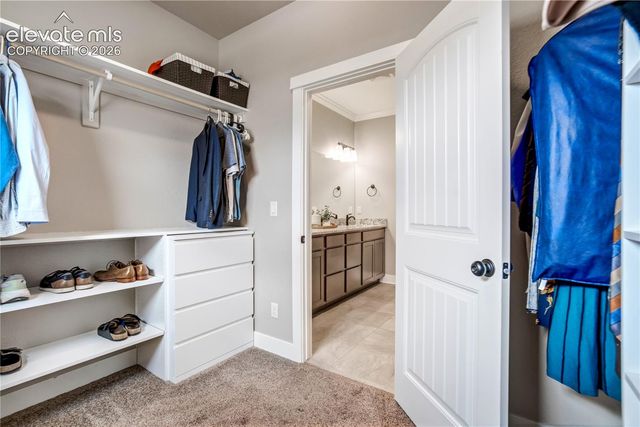 843 Redemption Point, Colorado Springs, CO 80905