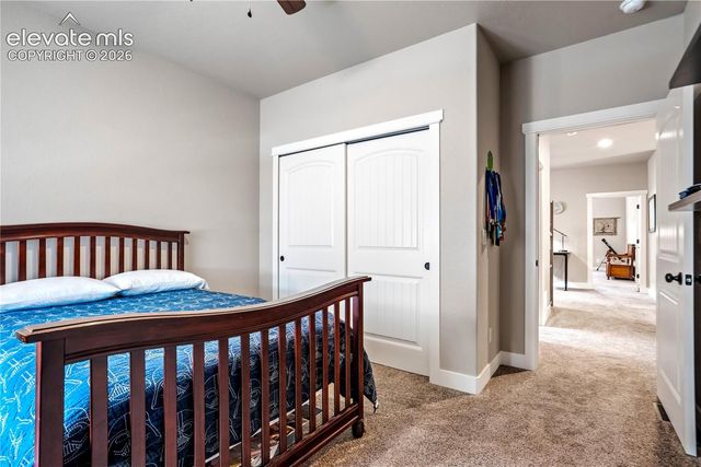 843 Redemption Point, Colorado Springs, CO 80905