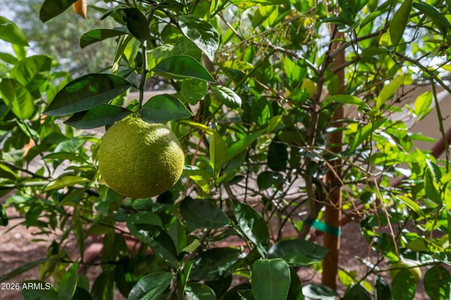 7969 E BAKER Drive, Scottsdale, AZ 85266