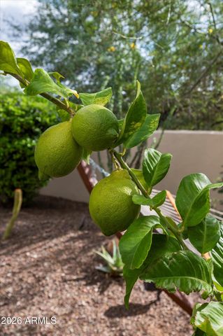 7969 E BAKER Drive, Scottsdale, AZ 85266