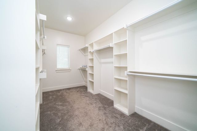 203 New Braunfels, Hallsville, TX 75650