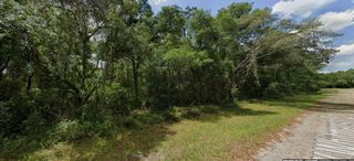 282 W WHITMARSH COURT, Dunnellon, FL 34434