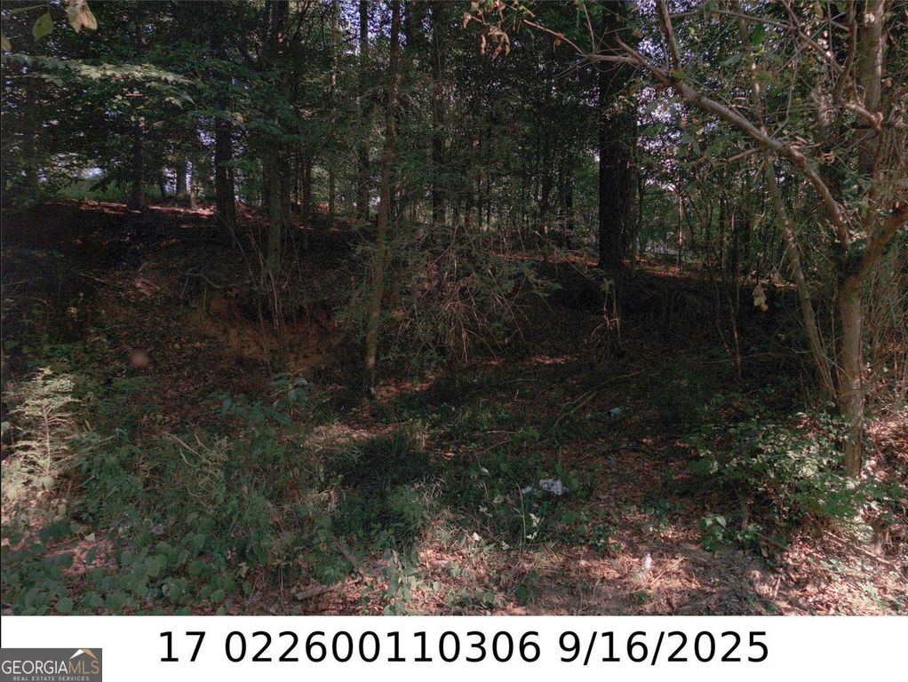 0 NEWMAN PL, Atlanta, GA 30318