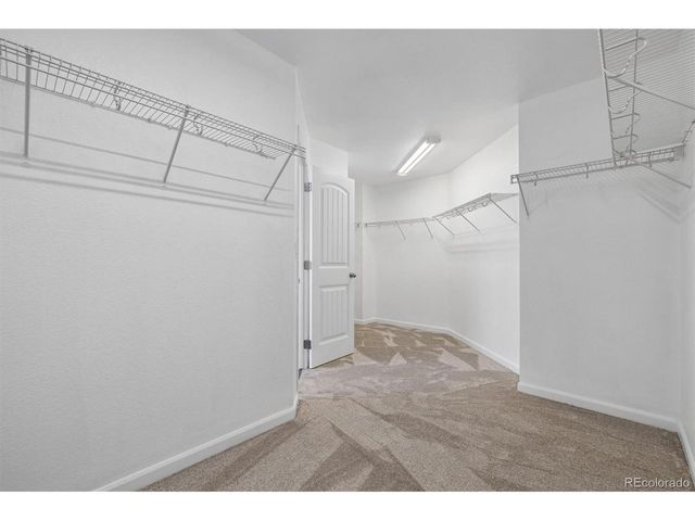11570 S Tumble Brush St, Parker, CO 80134