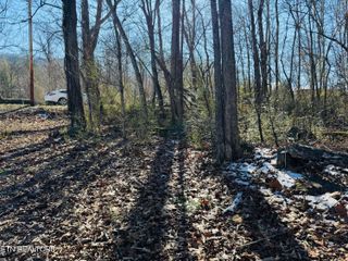 0 Pilgrim Circle, Cosby, TN 37722