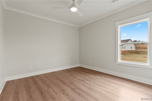 2427 Vesta, Tuscaloosa, AL 35406