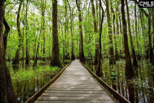 584 Swamp Grass Drive, Columbia, SC 29209