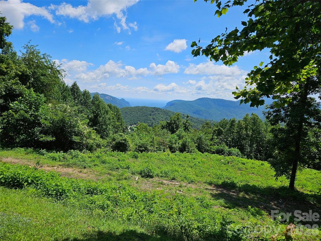 1233 Grand Oaks Drive 43, Hendersonville, NC 28792