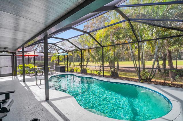 12929 ROYAL GEORGE AVENUE, Odessa, FL 33556