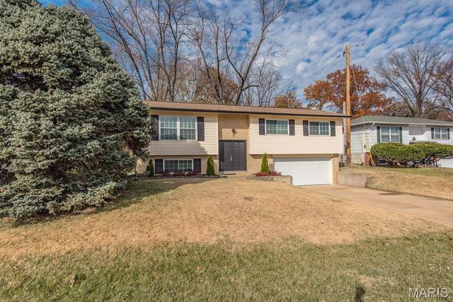 2341 McKelvey Road, St Louis, MO 63043