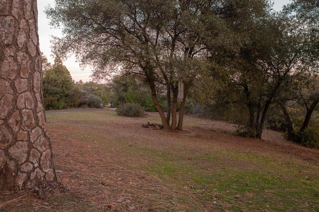 18250 Toyon Rd, Pine Grove, CA 95665