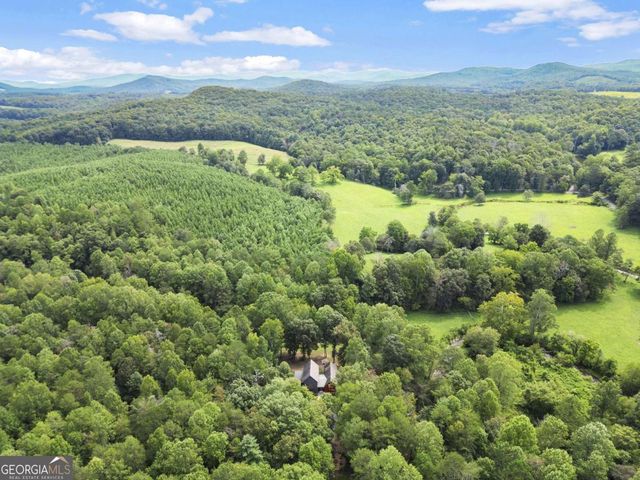 530 Burleson Road, Ellijay, GA 30536