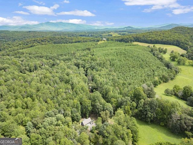 530 Burleson Road, Ellijay, GA 30536