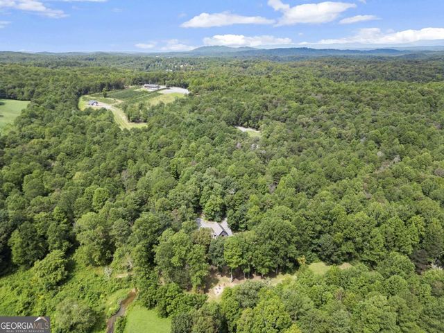 530 Burleson Road, Ellijay, GA 30536