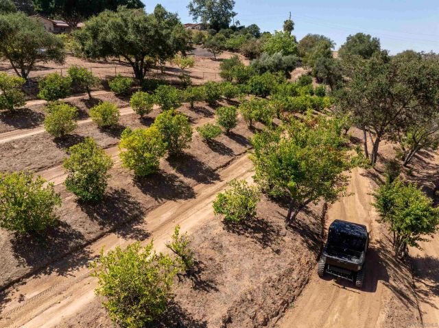 521 Rancho Camino, Fallbrook, CA 92028
