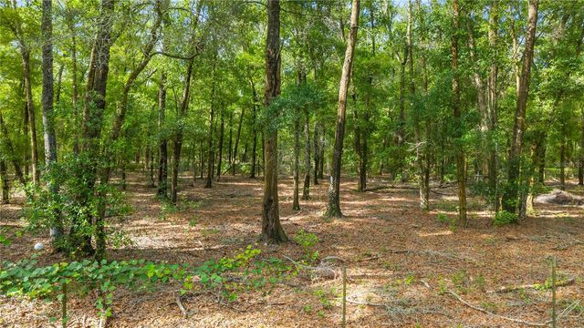 6679 NW 27TH PLACE, Bell, FL 32619