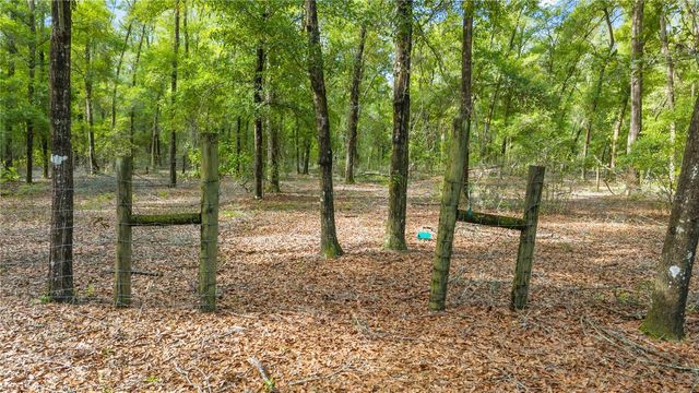 6679 NW 27TH PLACE, Bell, FL 32619