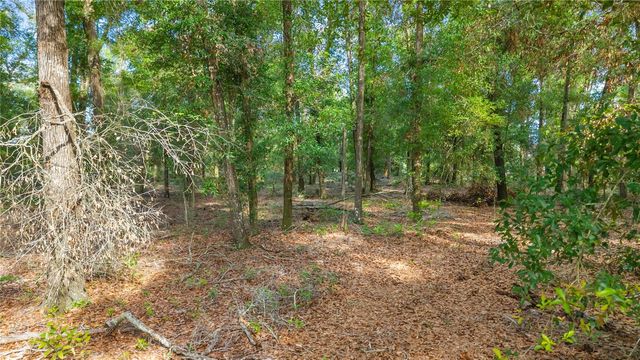 6679 NW 27TH PLACE, Bell, FL 32619