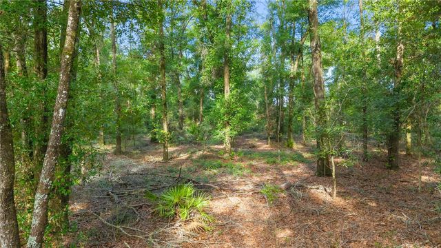 6679 NW 27TH PLACE, Bell, FL 32619