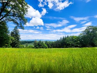 Applegate Trail 307, Junction City, OR 97448