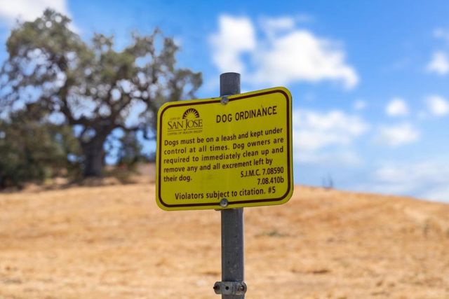 6221 Glider Drive, San Jose, CA 95123