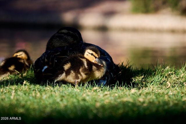 43423 N NATIONAL Court, New River, AZ 85087