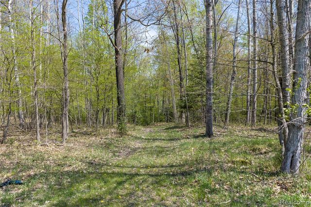 4180 Sage Lake Road, Lupton, MI 48635