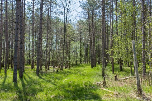 4180 Sage Lake Road, Lupton, MI 48635