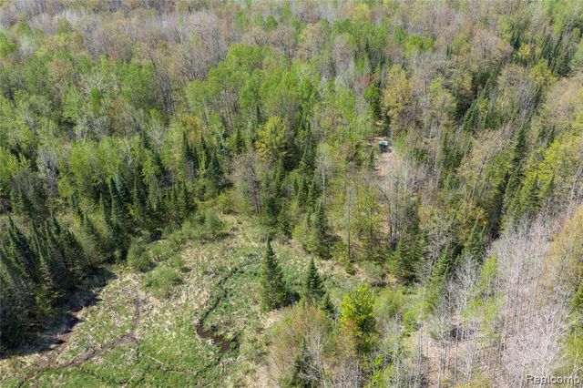 4180 Sage Lake Road, Lupton, MI 48635