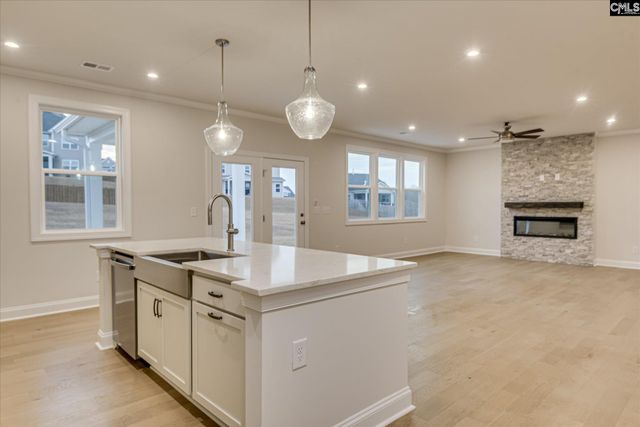 3022 Snail Seed Trail, Lexington, SC 29073