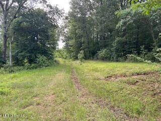 1968 Bend Road, Coldwater, MS 38618