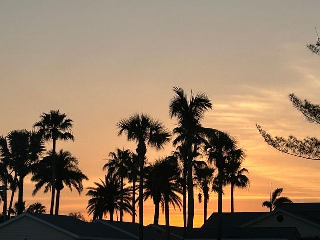 19610 GULF BLVD 206, Indian Shores, FL 33785