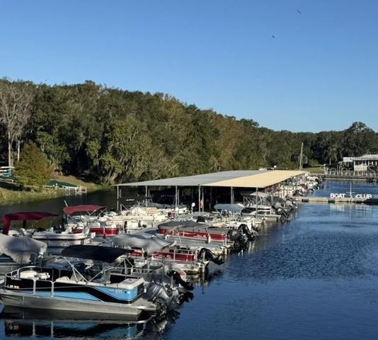 147 ROYAL PALM DRIVE, Leesburg, FL 34748