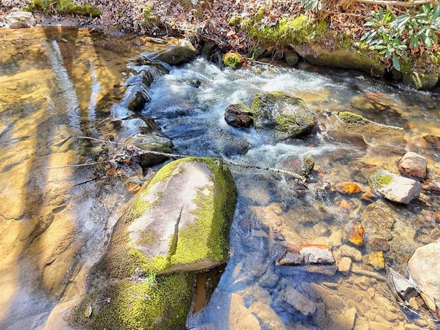 193 Hillside Trail, Blairsville, GA 30512