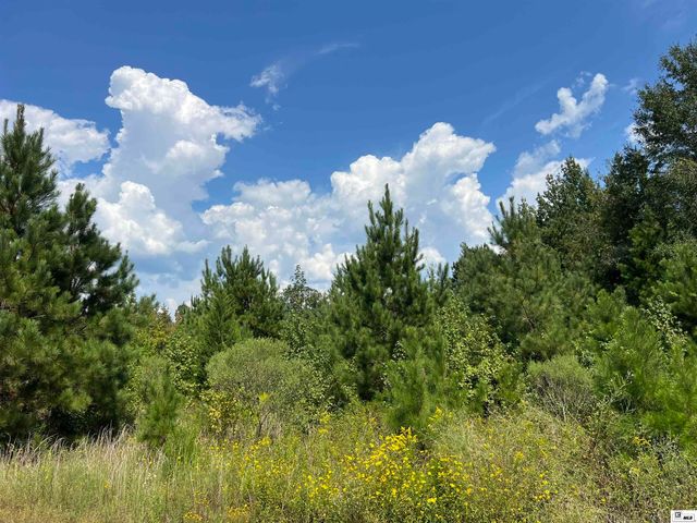 00 RED ROCK ROAD, Farmerville, LA 71241