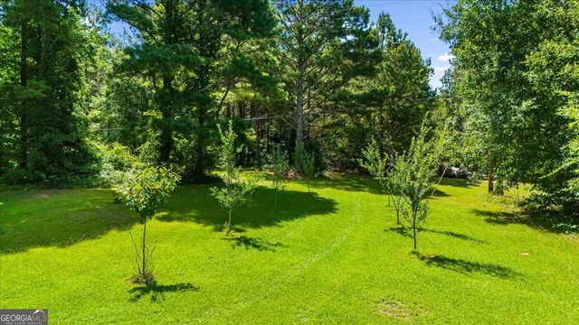 162 Deer Creek Trail, Moreland, GA 30259