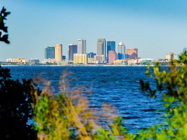 2808 W PEARL AVENUE, Tampa, FL 33611