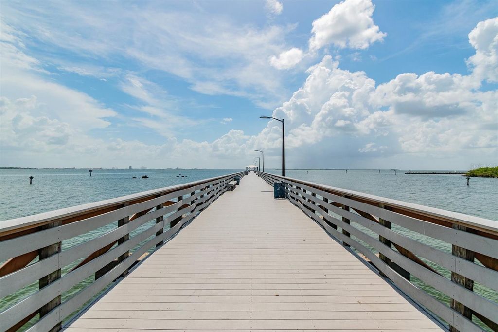 Image 54 of property listing at 2808 W PEARL AVENUE, Tampa, FL 33611