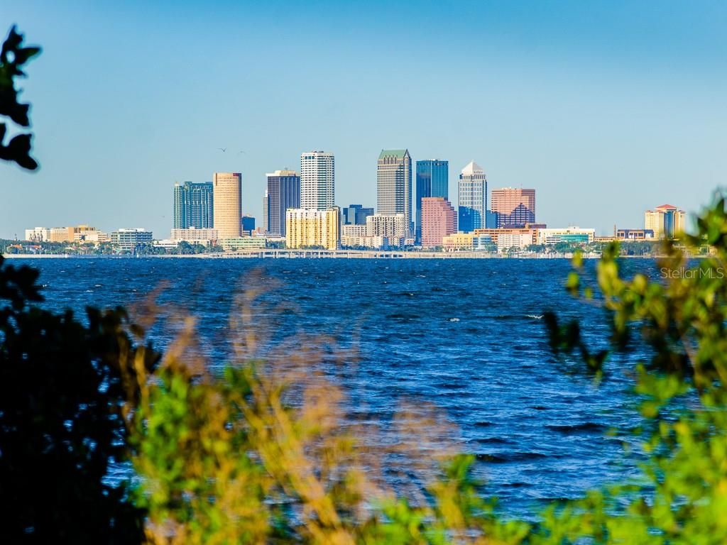 Image 55 of property listing at 2808 W PEARL AVENUE, Tampa, FL 33611