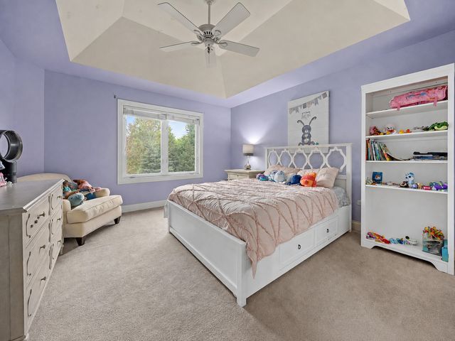 4767 Sassafras Lane, Naperville, IL 60564