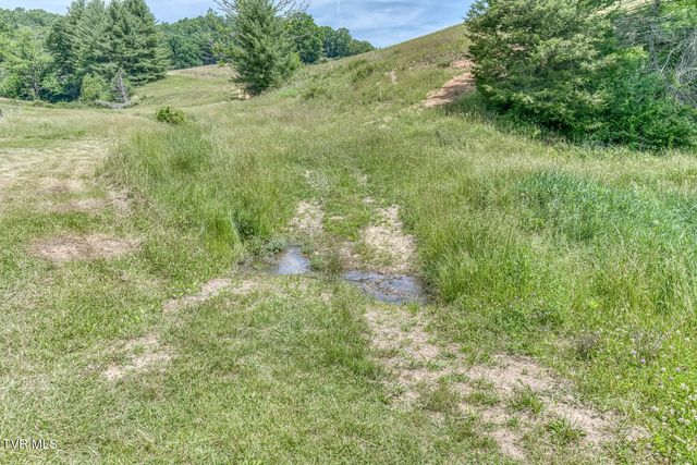 1044 Waters Road, Laurel Bloomery, TN 37680