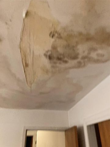 4807 Hilldale DR, Austin, TX 78723