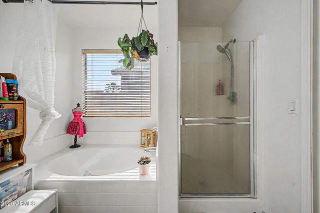 45763 W DIRK Street, Maricopa, AZ 85139