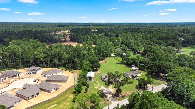 25311 Hardin Store Road, Magnolia, TX 77354