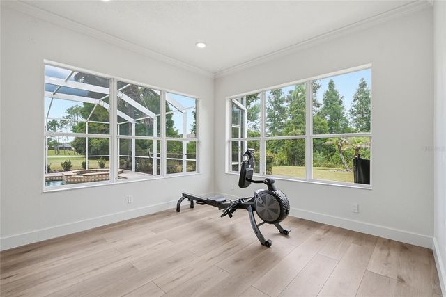 23534 GRACEWOOD CIRCLE, Land O Lakes, FL 34639